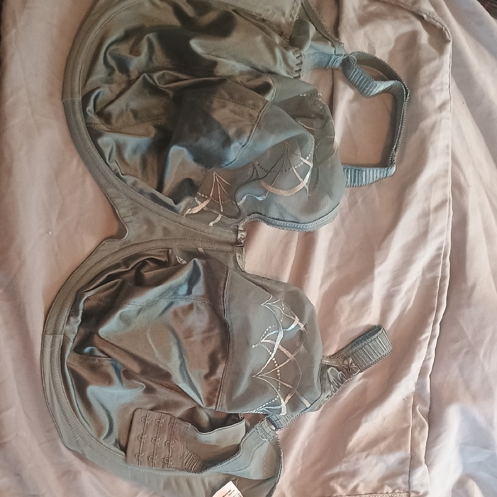 Elomi Blue Underwire Bra with Satin Finish